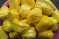 菠萝蜜的功效和营养价值 菠萝蜜怎么吃核能吃吗