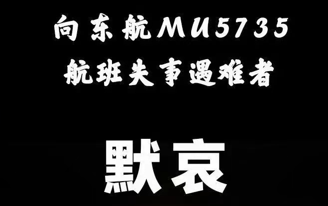 东航事故原因最新消息 321东航mu5735坠机事件始末