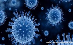 第二波疫情什么时候开始 2023年春节是否导致疫情大规模传播?
