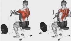 如何高效练背部肌肉,5个动作打造宽厚背部